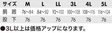 サイズ表