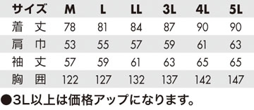 サイズ表