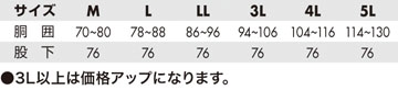 サイズ表